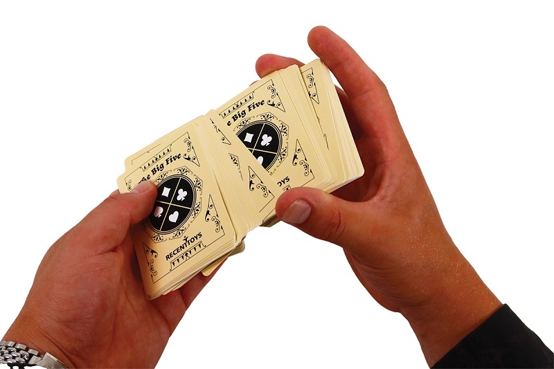 RECENTTOYS The Big Five - Karty Obrázek