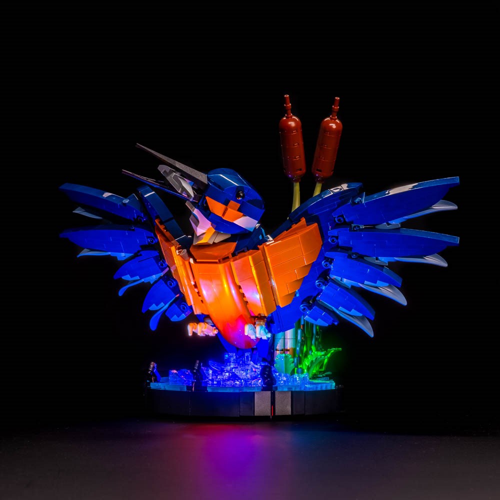 Light my Bricks Sada světel - LEGO Kingfisher Bird 10331