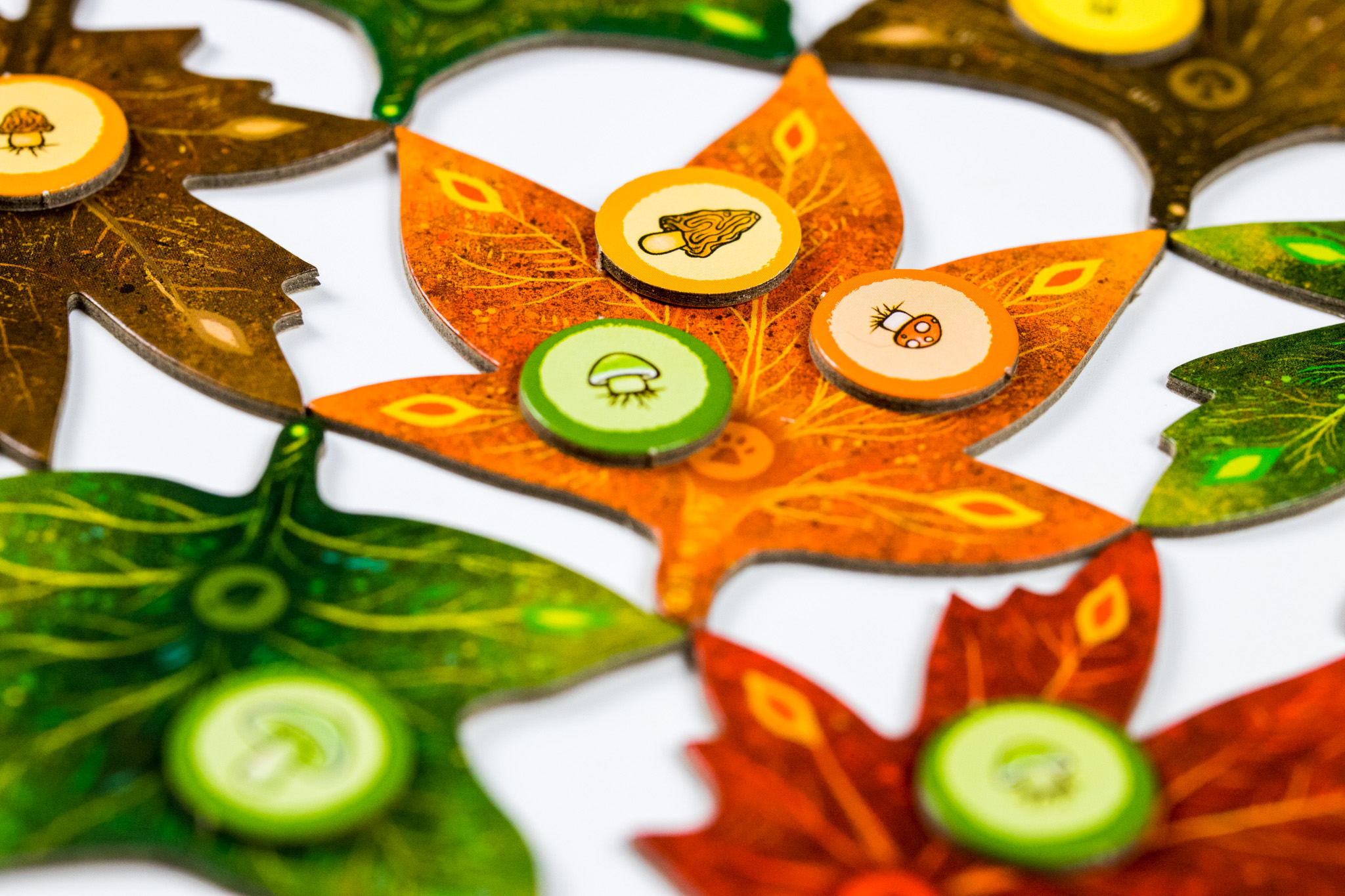 TLAMA games Listí Obrázek