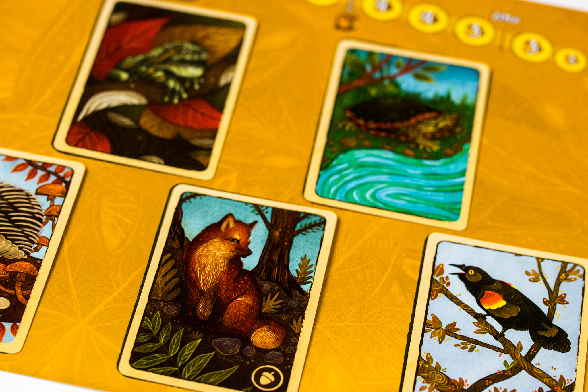 TLAMA games Listí Obrázek