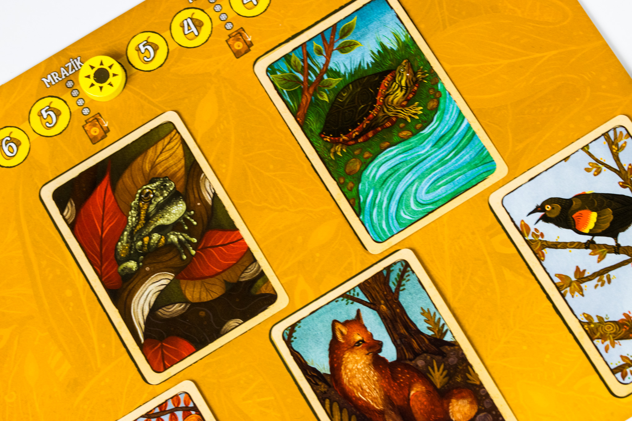 TLAMA games Listí Obrázek