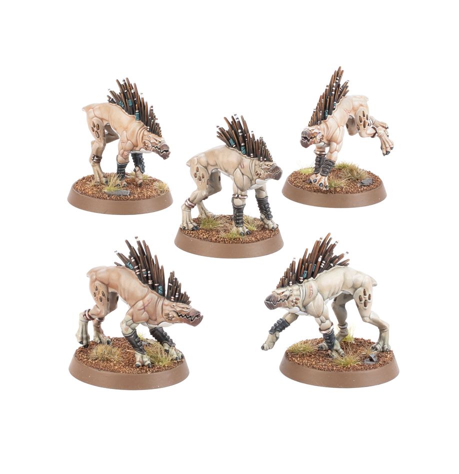 Games Workshop T'au Empire: Kroot Hounds (Warhammer 40,000) Obrázek