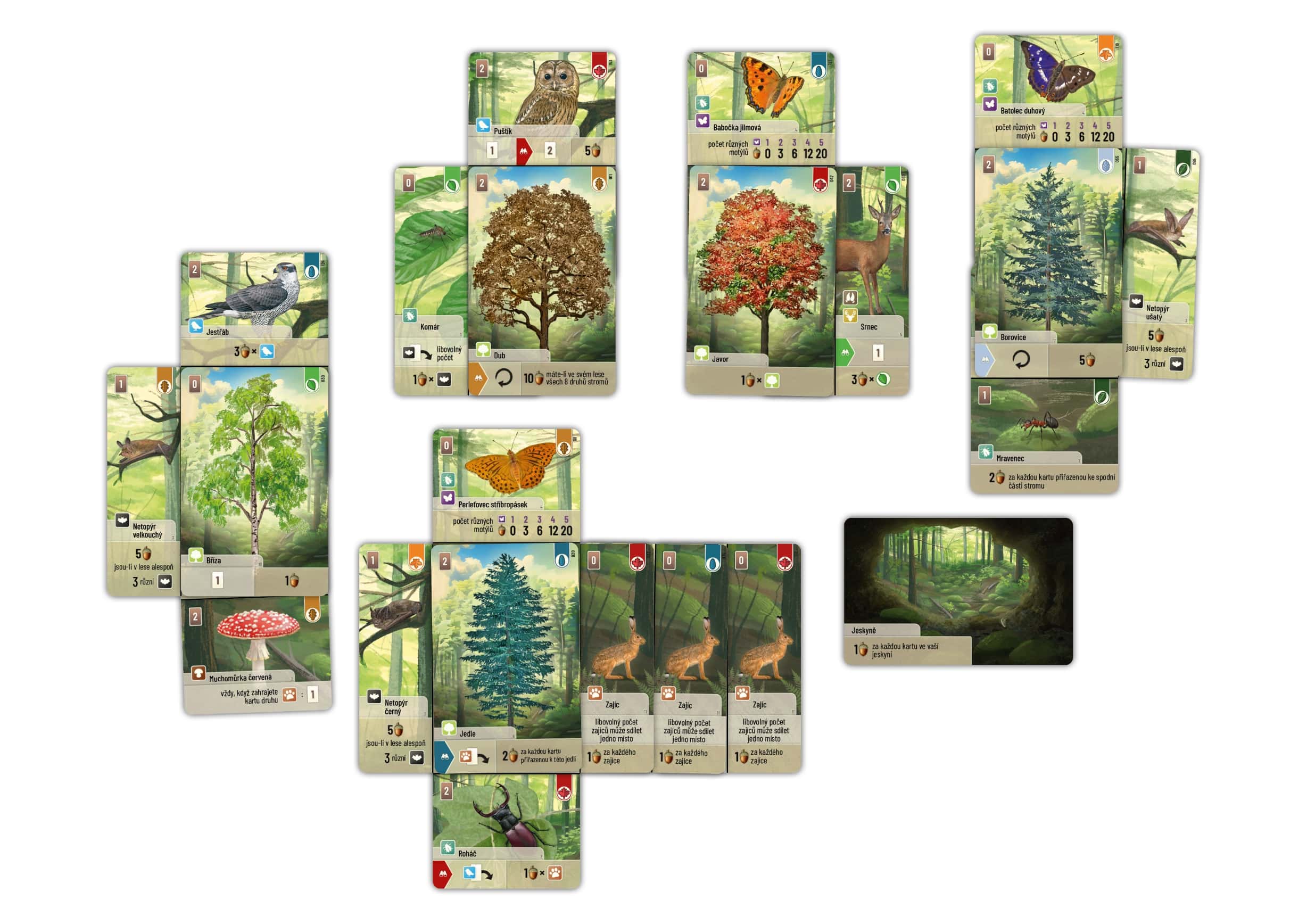 Blackfire CZ Smíšený les Obrázek