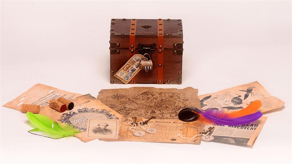 The Mystery Agency The Balthazar Stone Obrázek