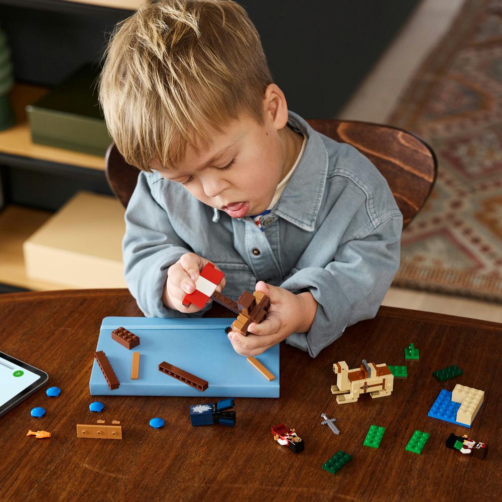 LEGO® Plavba na pirátské lodi 21259 Obrázek