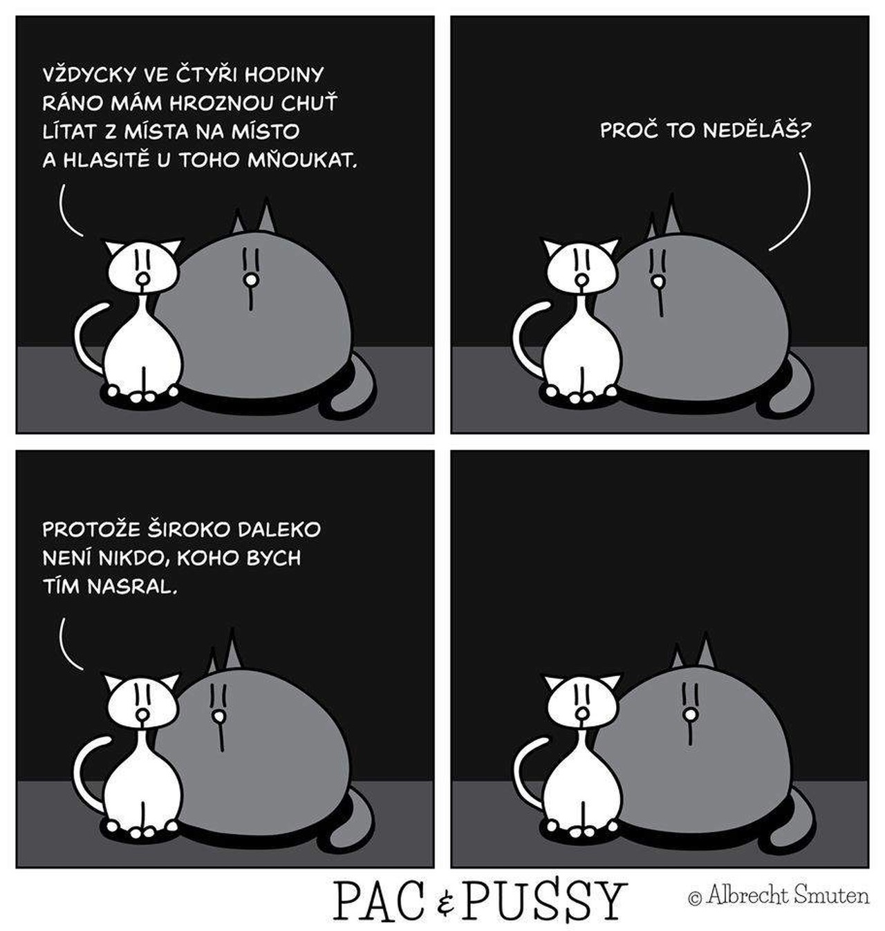 Epocha Pac & Pussy 2 Obrázek