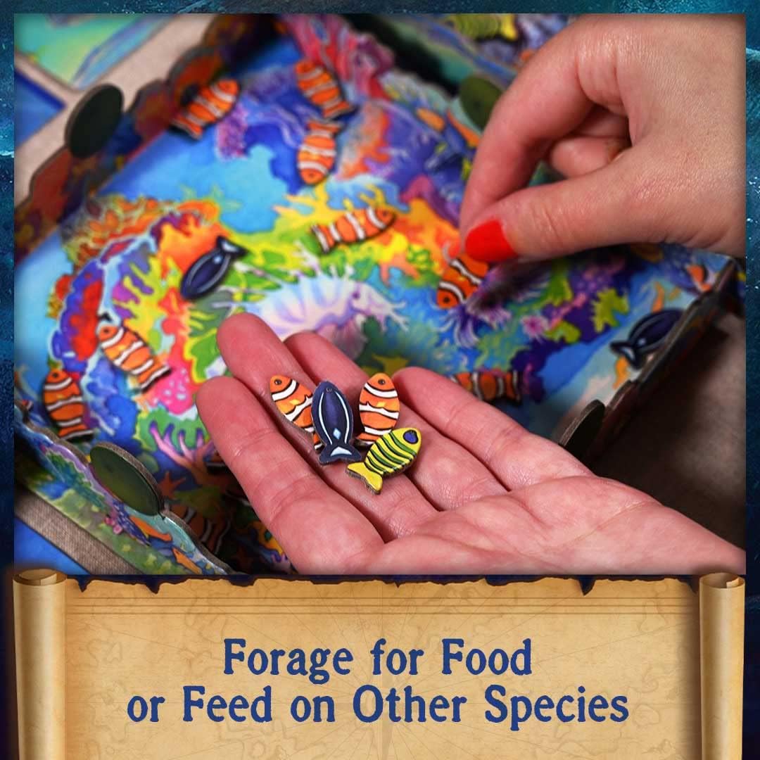 North Star Games Oceans - EN Obrázek