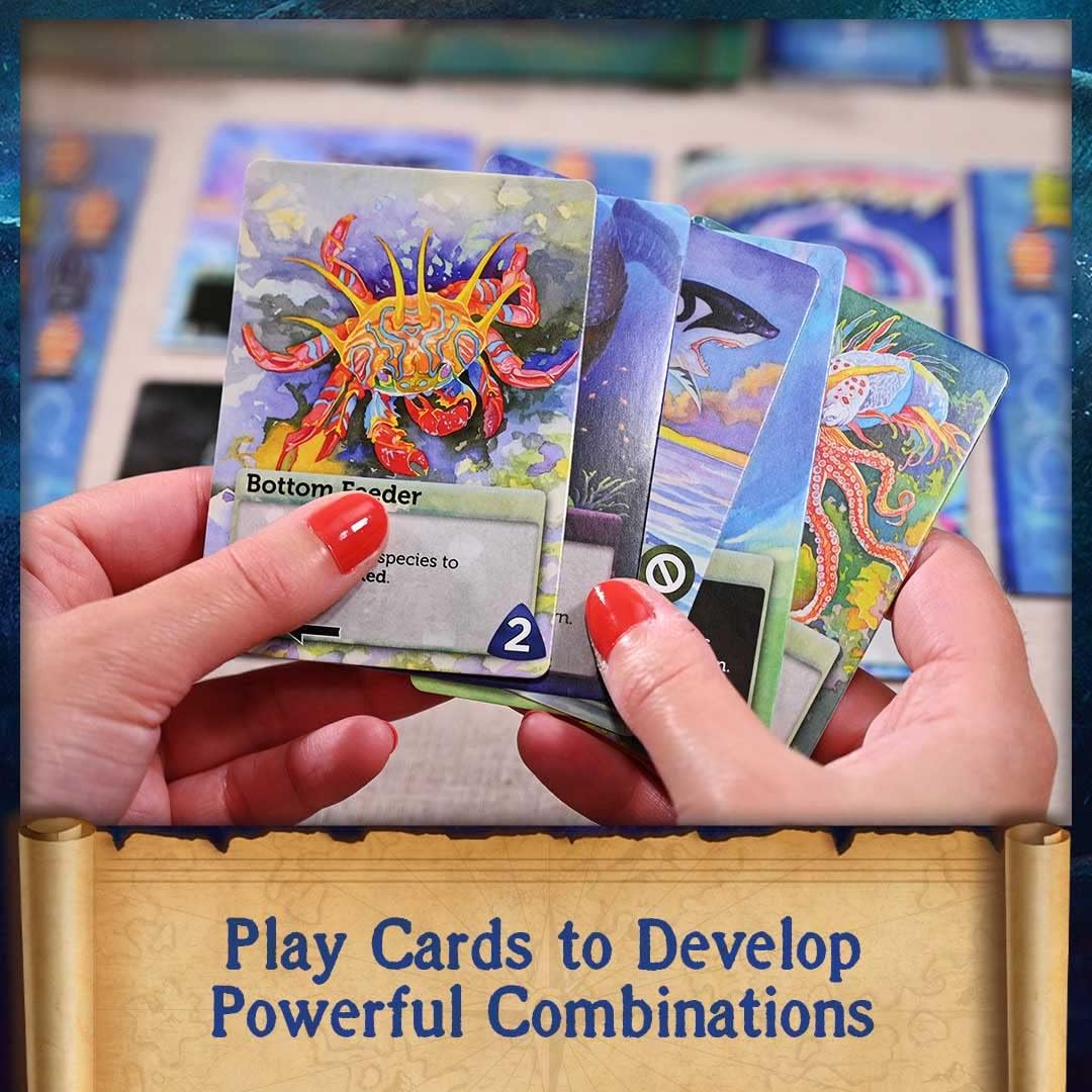 North Star Games Oceans - EN Obrázek