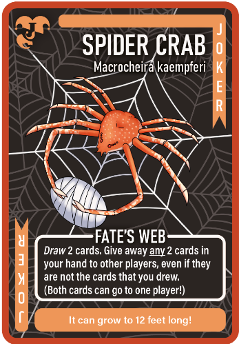 Blue Rondo Games Crabs in a Bucket - EN Obrázek