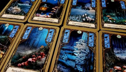 Pegasus Spiele Fungi Obrázek