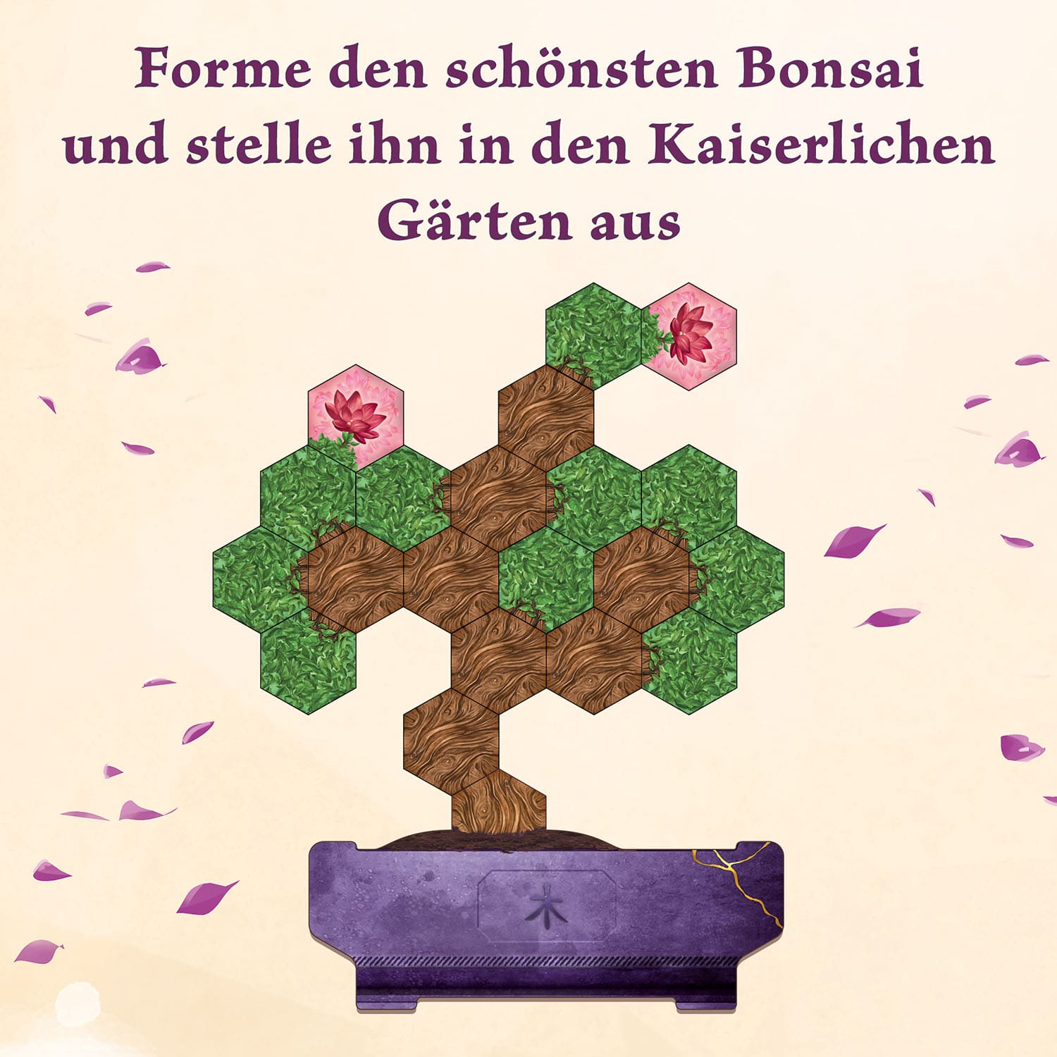 KOSMOS Bonsai - DE Obrázek