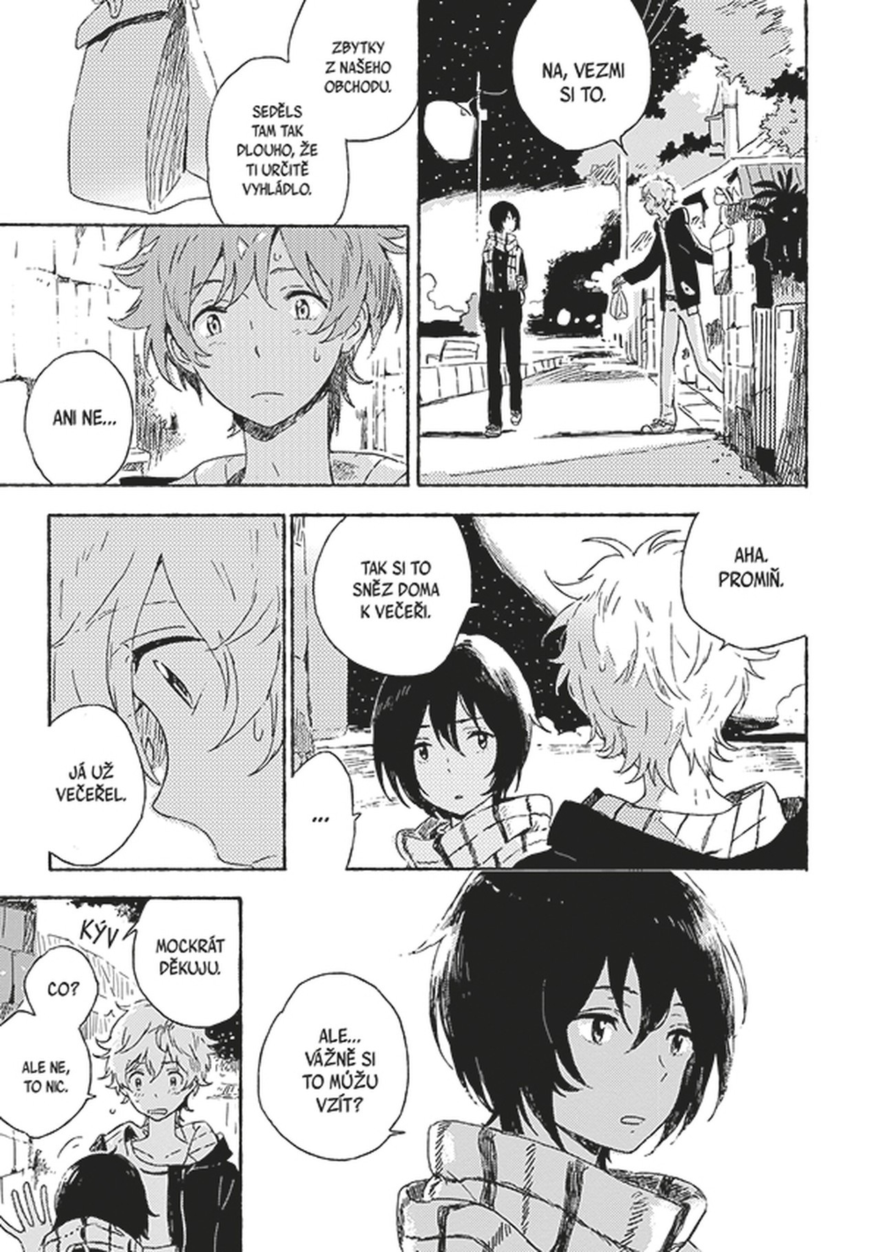 Crew Cizinec na pláži Obrázek