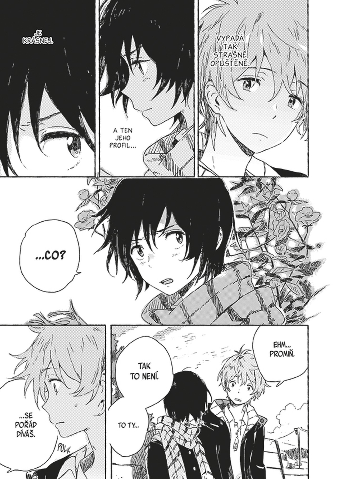 Crew Cizinec na pláži Obrázek