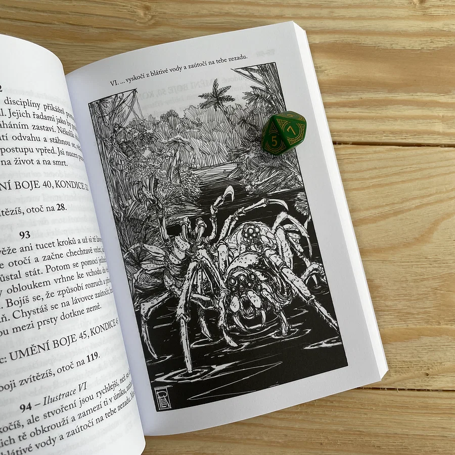 Mytago Lone Wolf: Naarova kletba Obrázek