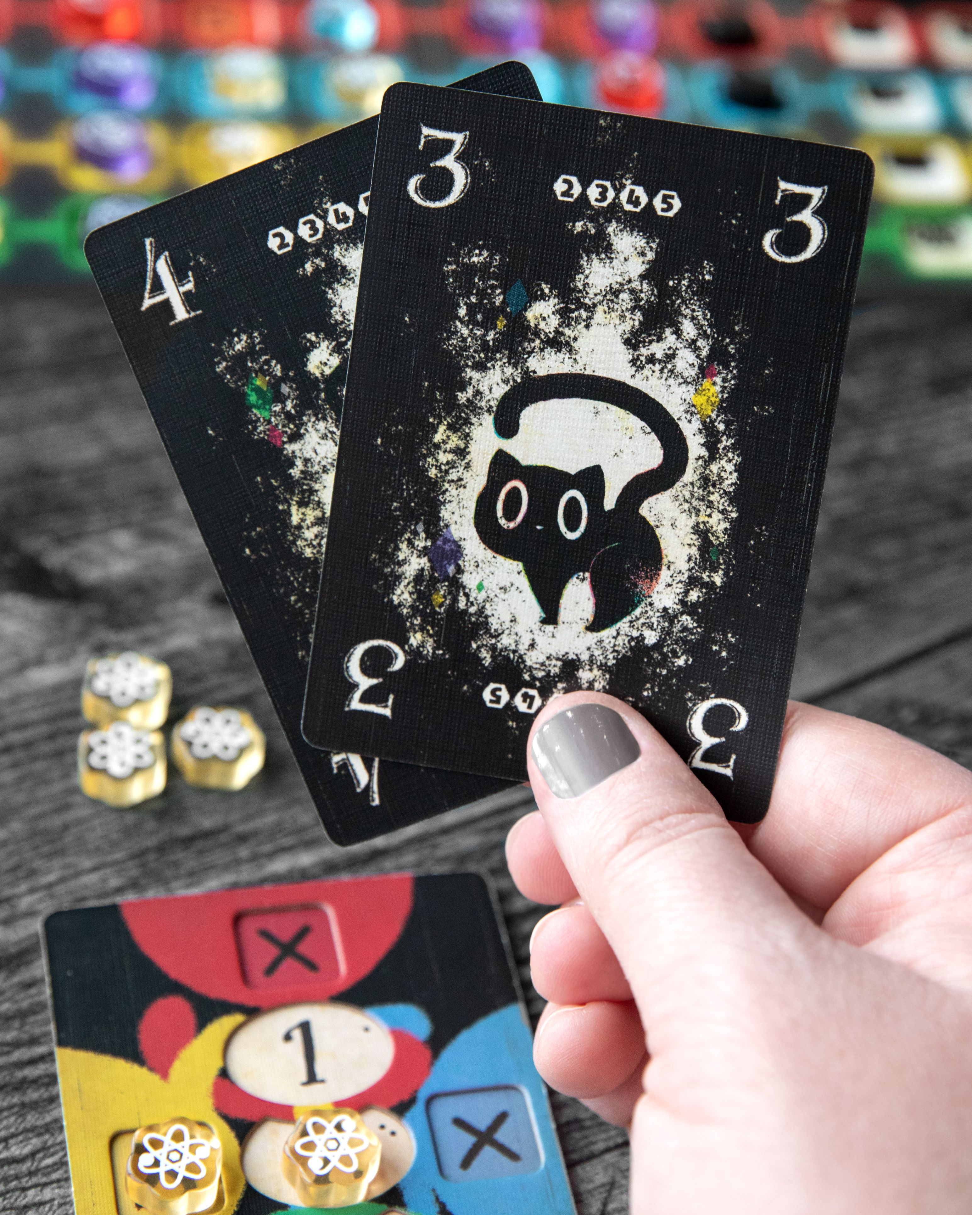 TLAMA games Kočka v krabici Obrázek