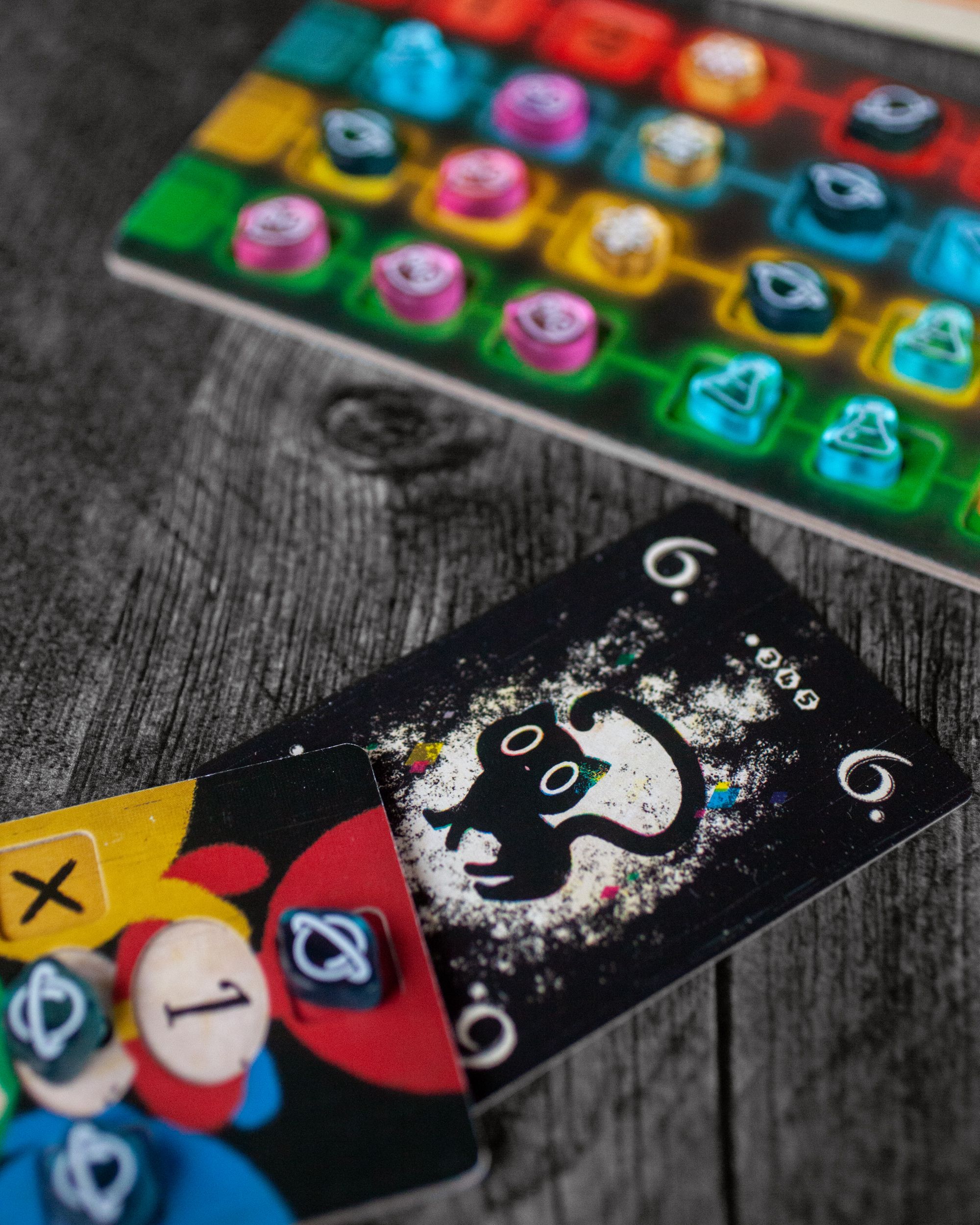 TLAMA games Kočka v krabici Obrázek