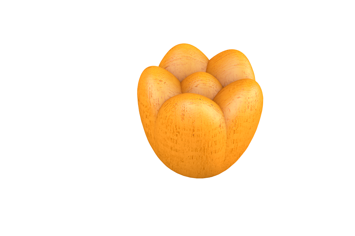 Board&Dice Windmill Valley: Tulips upgrade - EN Obrázek