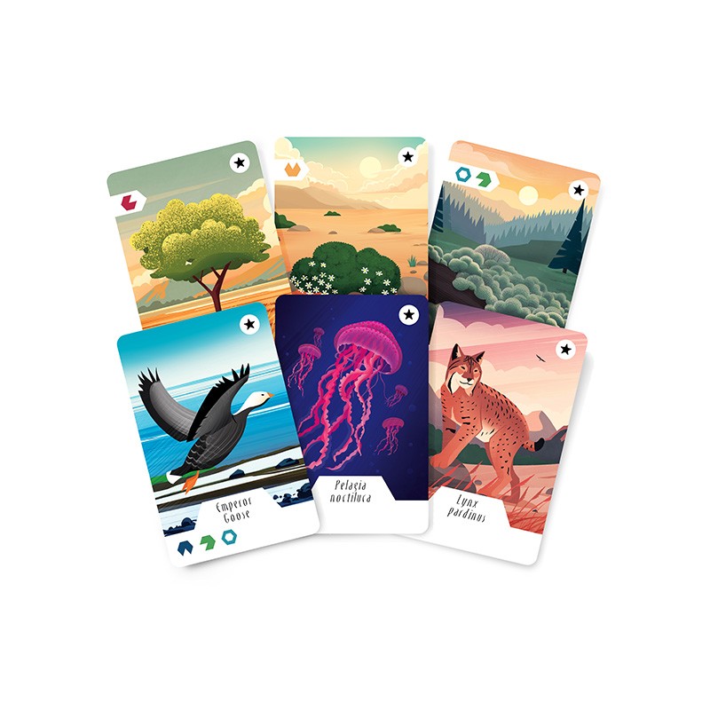 Julibert Games Ecosfera: Expansion - EN Obrázek