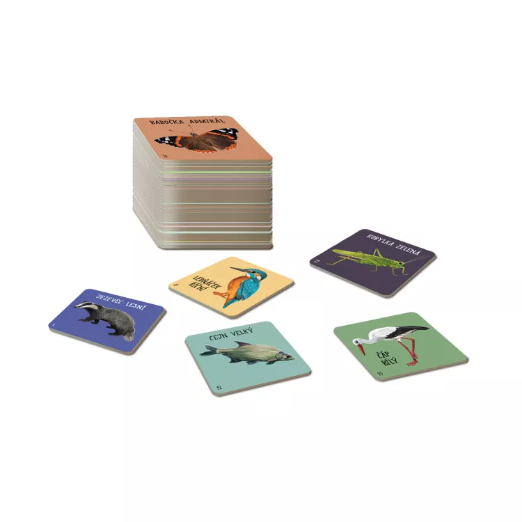 Albi Chytré kostky - Zvířata ČR Obrázek