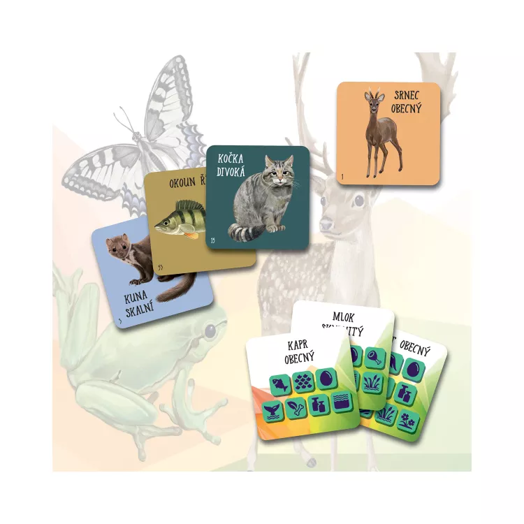 Albi Chytré kostky - Zvířata ČR Obrázek