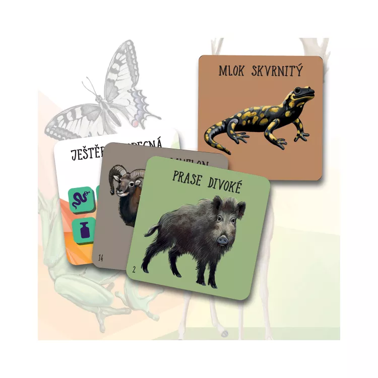 Albi Chytré kostky - Zvířata ČR Obrázek