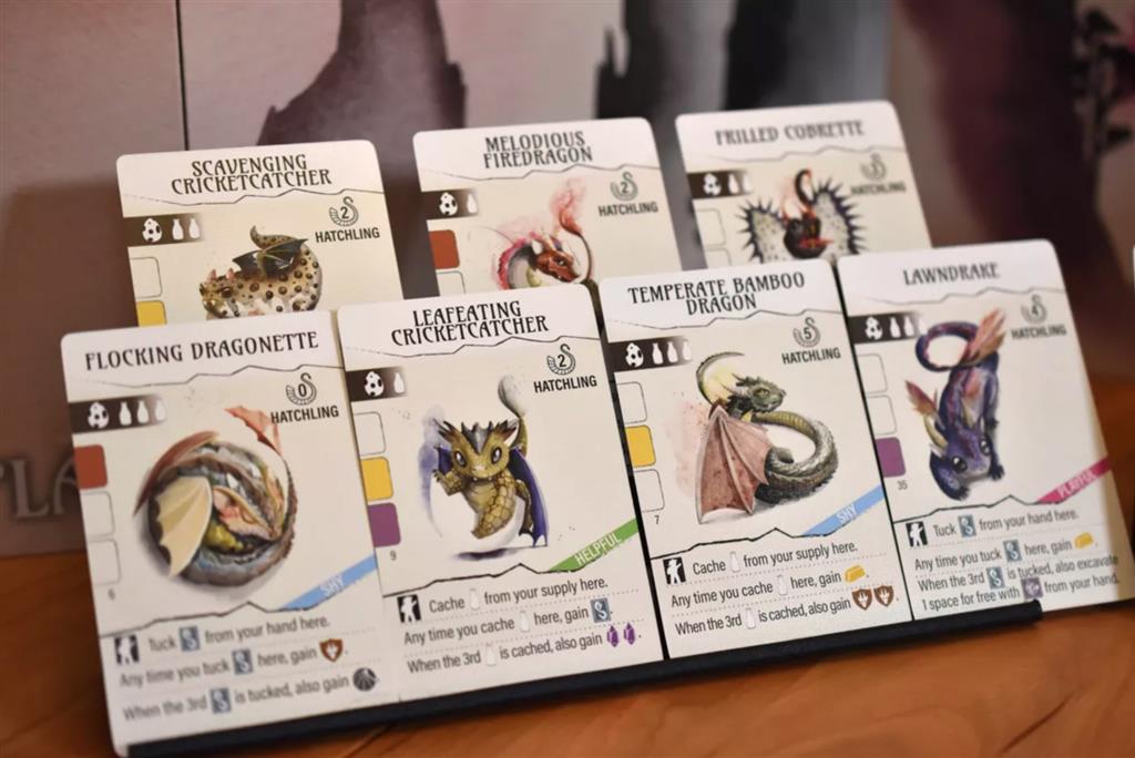 Stonemaier Games Wyrmspan – EN Obrázek