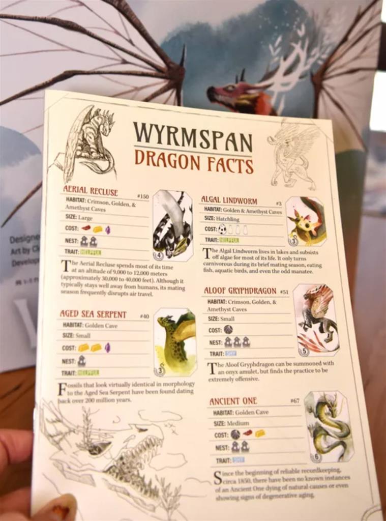 Stonemaier Games Wyrmspan – EN Obrázek