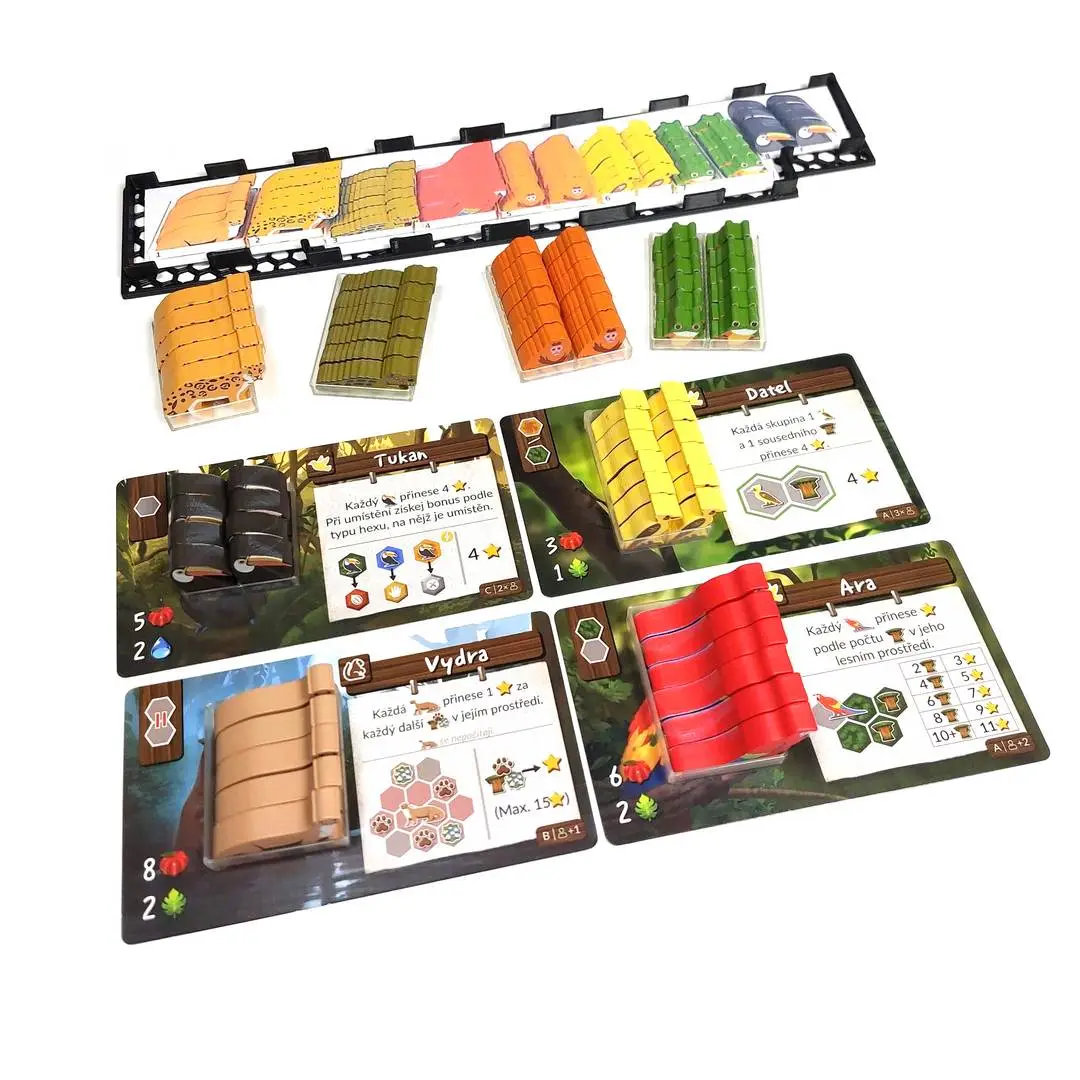 Inserty HERMAN Insert: Divoká Amazonie / Life of the Amazonia (INS98) Obrázek