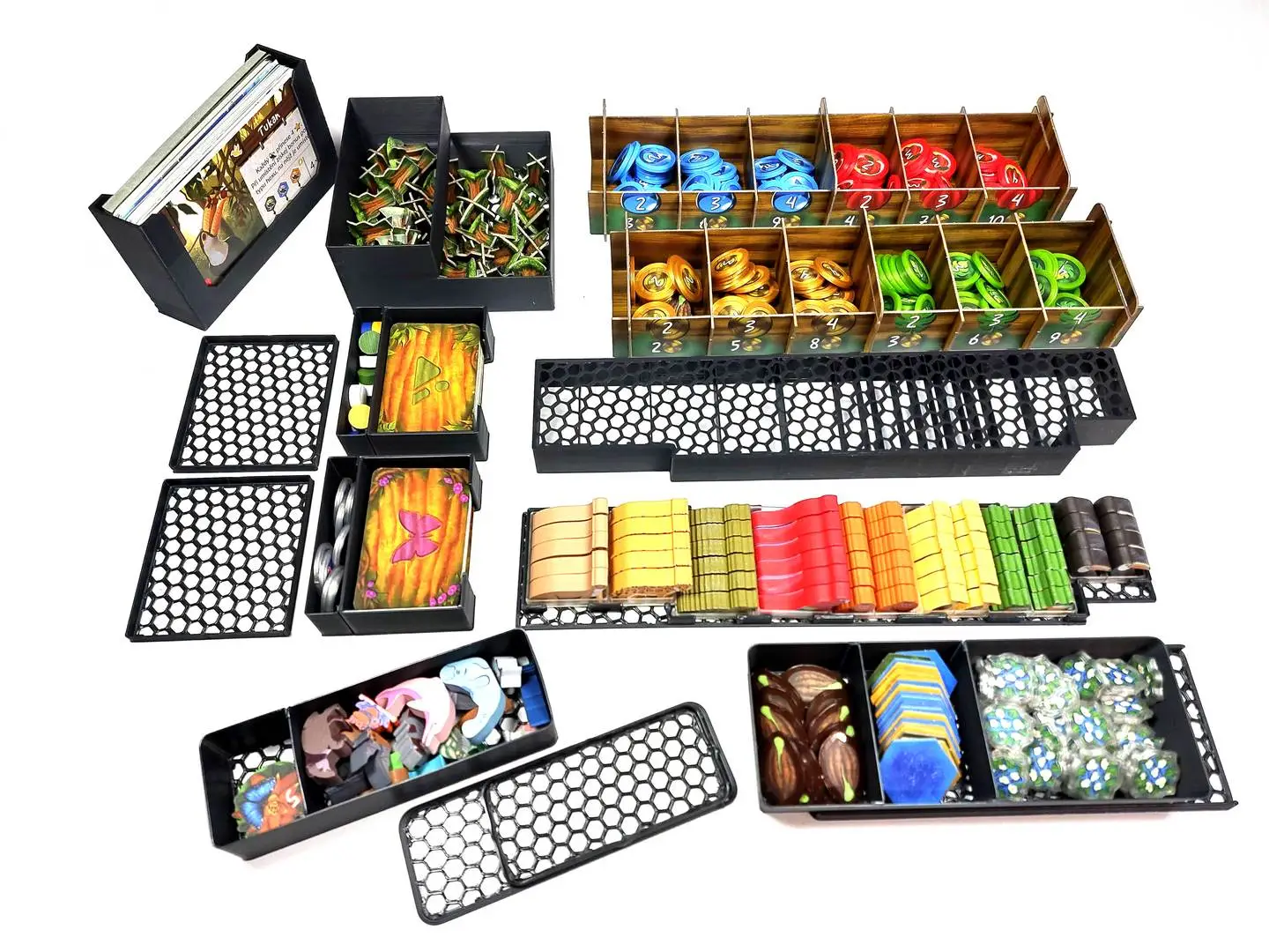 Inserty HERMAN Insert: Divoká Amazonie / Life of the Amazonia (INS98) Obrázek