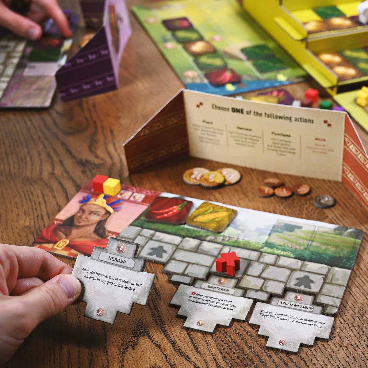 North Star Games Sacred Valley - EN Obrázek