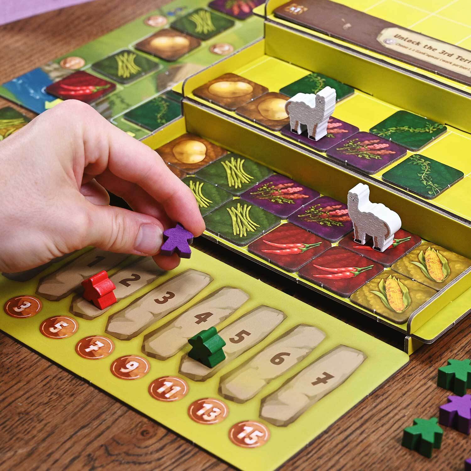 North Star Games Sacred Valley - EN Obrázek