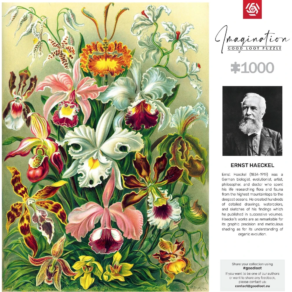 Good Loot GLO Imagination: Ernst Haeckel - Orchid / Orchidea Puzzles 1000 Obrázek