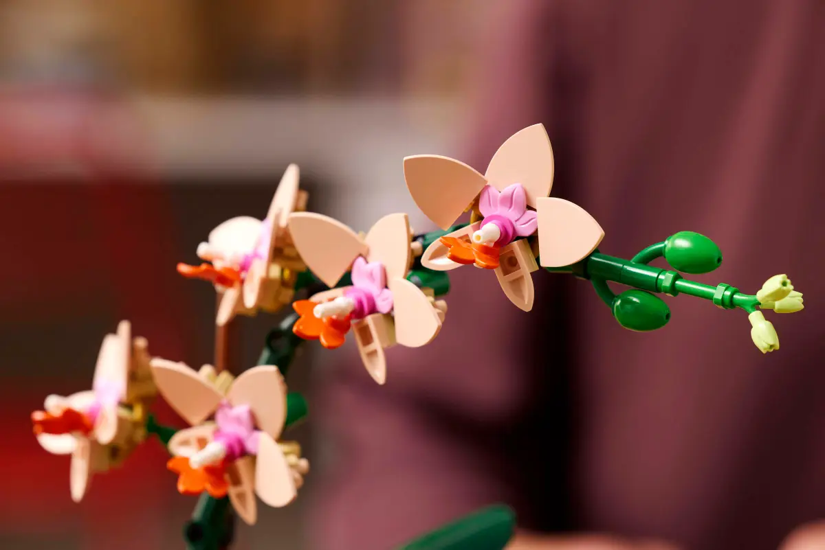 LEGO LEGO® Botanicals Miniaturní orchidej 10343 Obrázek