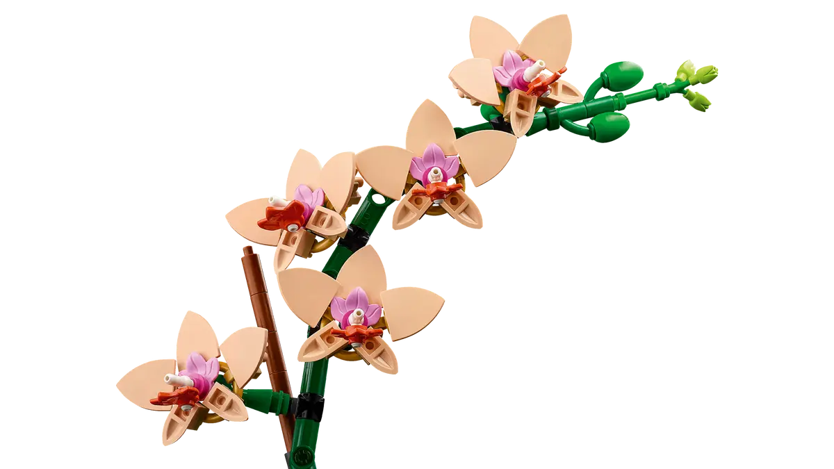 LEGO LEGO® Botanicals Miniaturní orchidej 10343 Obrázek