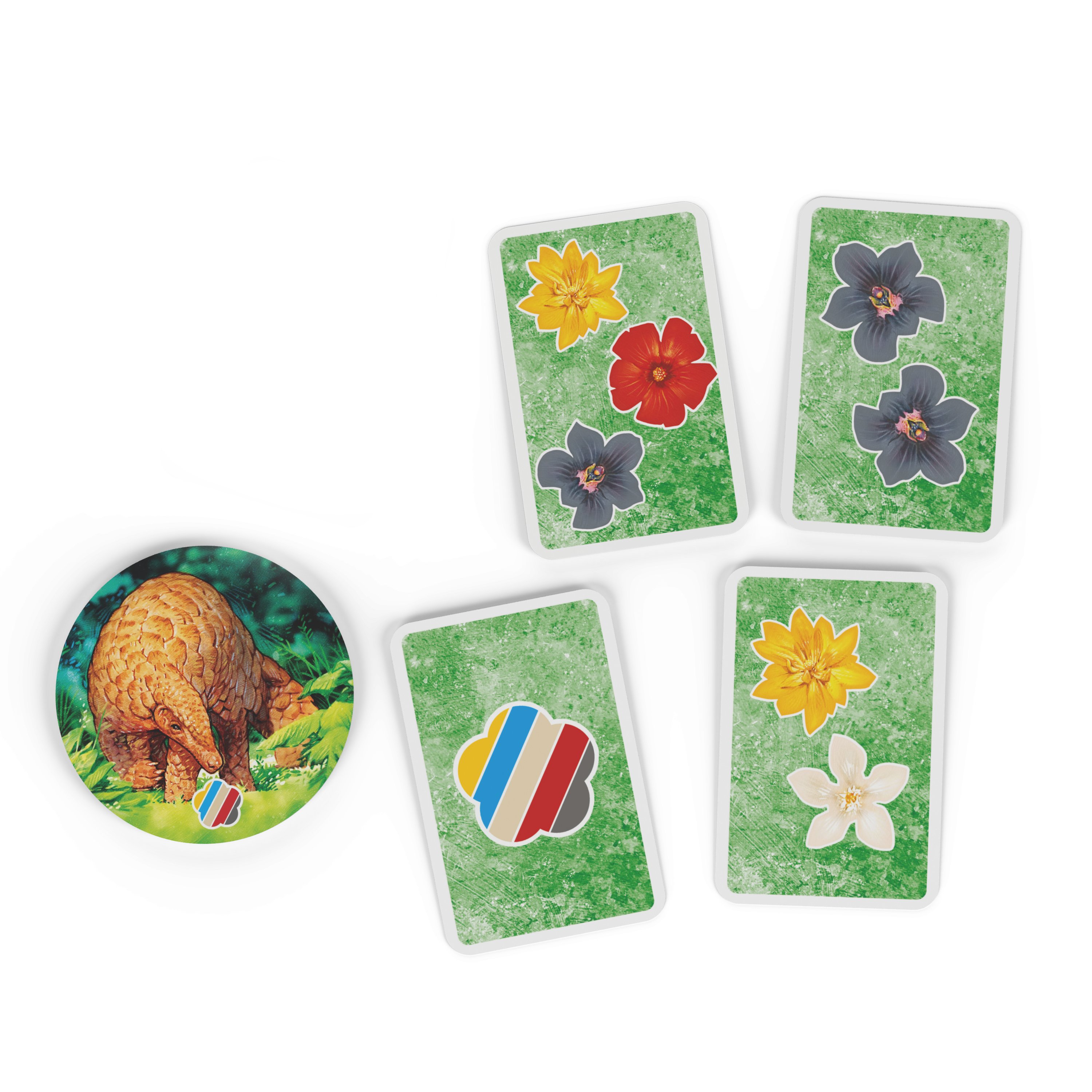 Asmodee Czech Republic Hutan: Život v pralese Obrázek