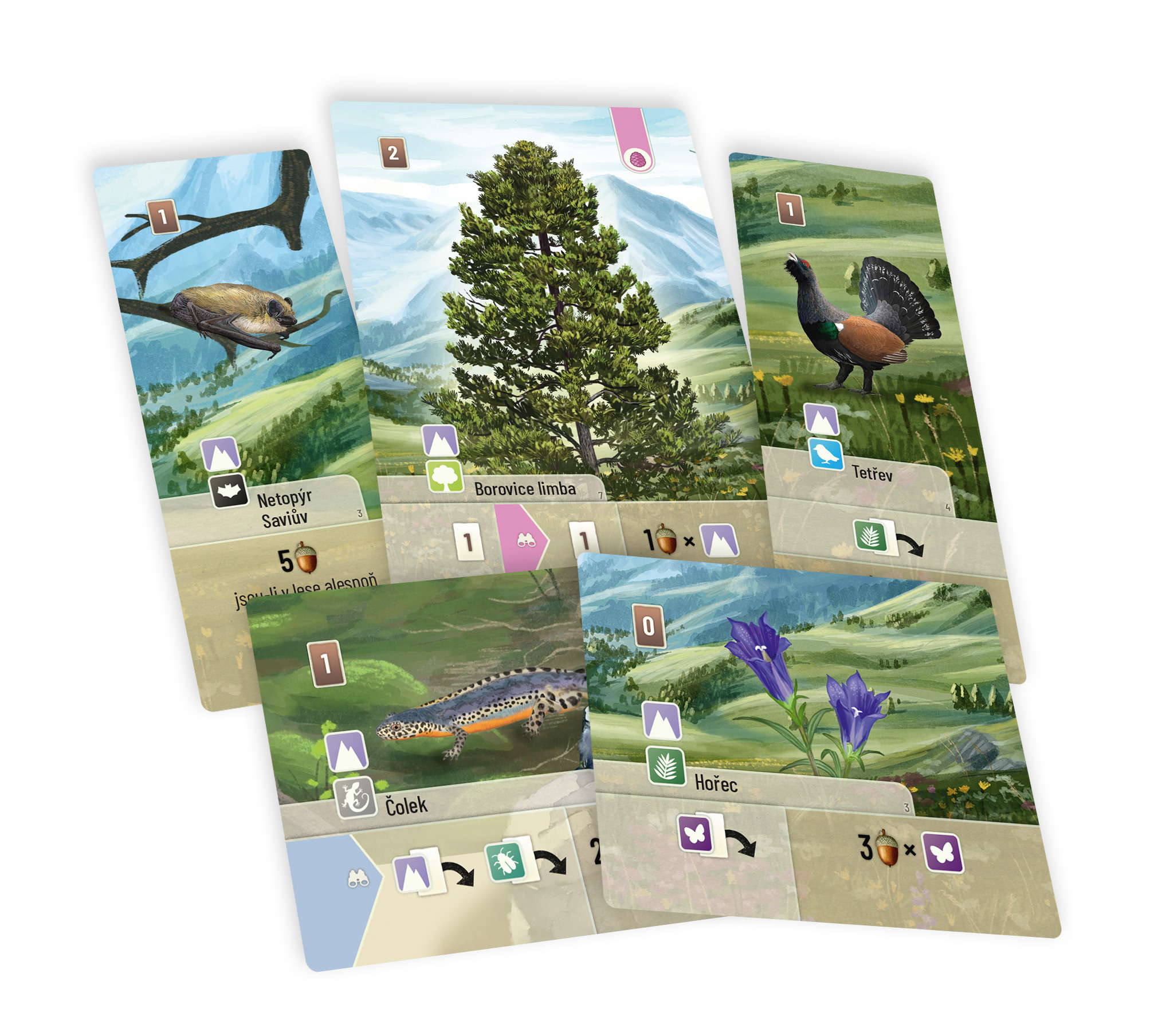 Asmodee Czech Republic Smíšený les: Alpy Obrázek