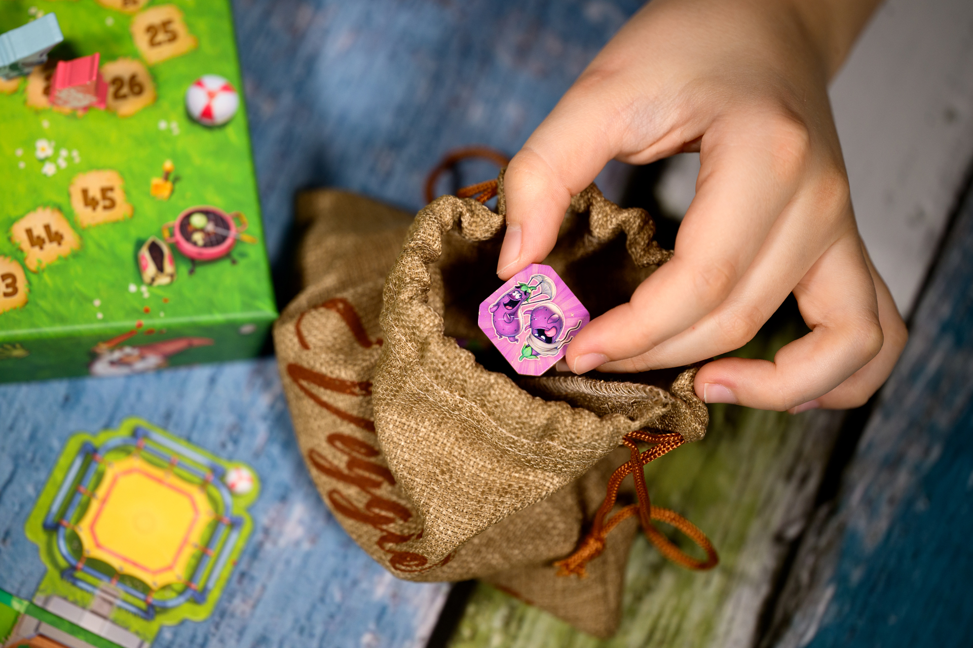 Asmodee Czech Republic Zahradní bitva Obrázek