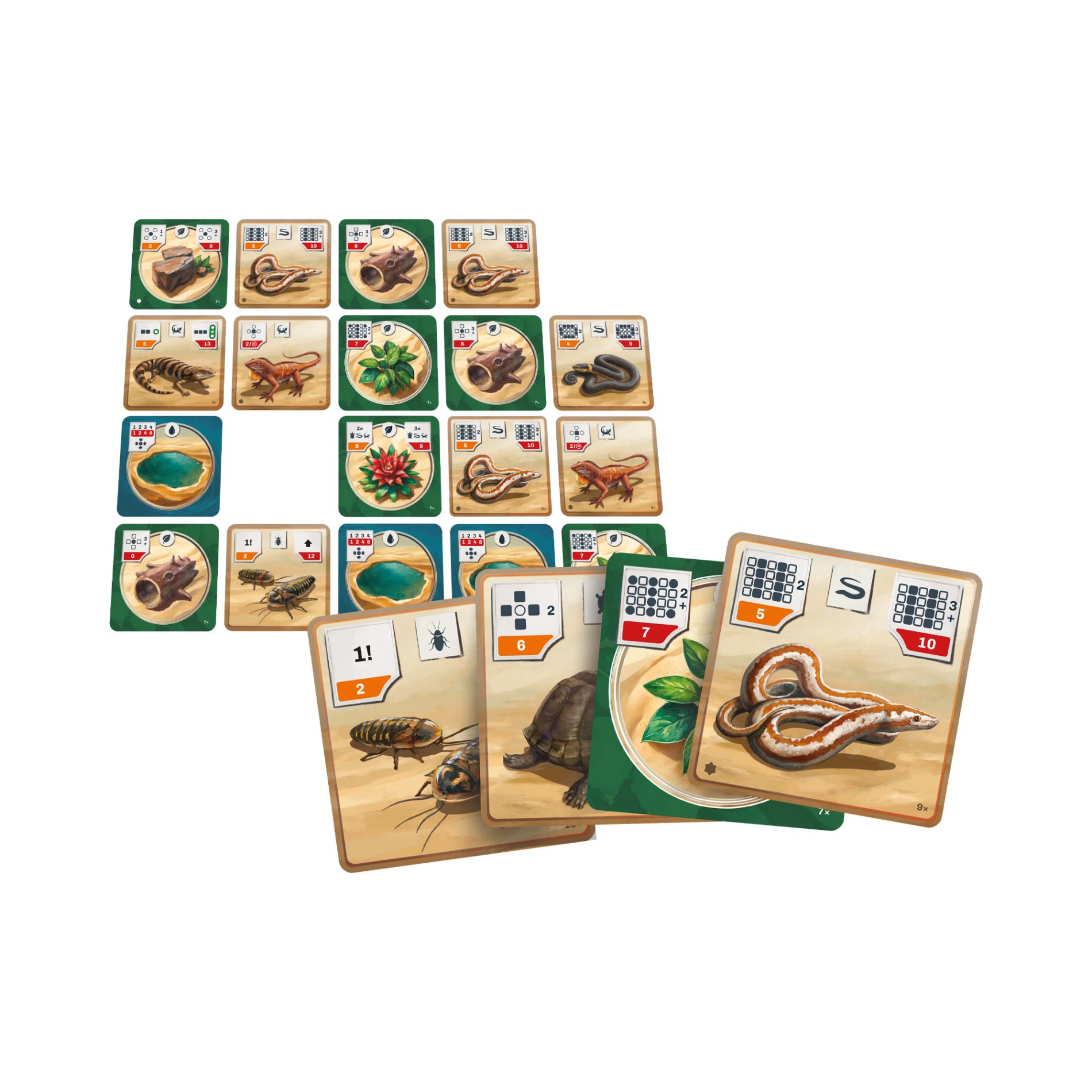 Albi Reptile Tank - EN/DE