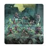 w40k bataillon 500 worlds necrons[1]