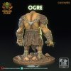 OGRE 1 C[1]