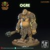 OGRE 1A[1]