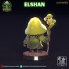 720X720 elshan 03[1]