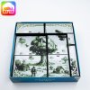 planta nubo insert MitroCZECH organizer BoardGameHolic (101)