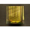 Bazar - Black Forest - EN (bez pravidel)