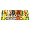 4cartes ok