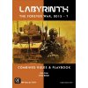 GMT Games - Labyrinth: The Forever War, 2015-?