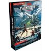 Wizards of the Coast - Dungeons & Dragons: Essentials Kit