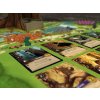 Starling Games - Everdell
