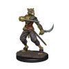 WizKids - D&D Icons of the Realms Premium Figures: Tabaxi Rogue Male