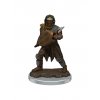 WizKids - D&D Icons of the Realms Premium Figures: Male Human Fighter